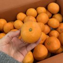 홍순농장 이미지