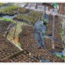 유목농장 이미지