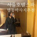 (주)라인호텔명동 | [서울/명동] 서울호텔스파 명동로얄호텔 센서티브 페이셜 관리 후기 엘레먼트스파
