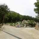 물내치기 이미지