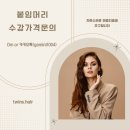 트윈스붙임머리 이미지