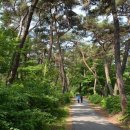 이순신백의종군길마라톤 이미지