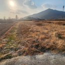 주택나라공인중개사사무소 이미지