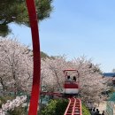 가야휴게점 | [김해 벚꽃 명소] 가야랜드 오픈런 실패 없는 꿀팁 &amp; 하늘자전거 웨이팅 후기🌸