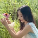 마른 몸매 이정도였어?…'박성광♥' 놀라운 슬림 자태 이솔이, 시선 사로잡은 '역대급 슬립룩' 이미지