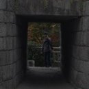 육목