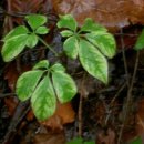 형태농장 이미지