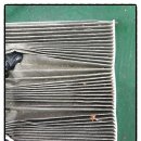 기정카센터 이미지