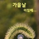 향원산장 Daum카페