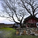 황산면 연당리 미륵불 이미지