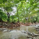 여주-0216 이미지