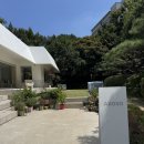 나다움을 살리는 인스타그램 활용법 정복 | [트랜드 LAB] 최근 인테리어 트렌드 3대 맛집 방문 후기