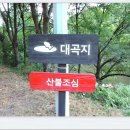 팔공산왕건길 1코스 이미지