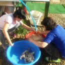 뼈다귀해장국감자탕 이미지