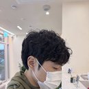 댕댕미용 | 댕댕미와 힙한이미지 연출가능한 매탄동 남자 쉐도우히피펌
