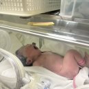 강원대학교병원 | [5박6일] 강원대학교병원 출산 후기