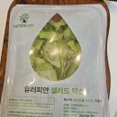 스마트팜 | 무농약 스마트팜 유러피안 샐러드 믹스 후기 네이쳐스테이