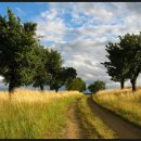 선스크린 골프연습장 이미지