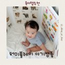 굿플레이 | 터미플레이 아기병풍 후기｜유아병풍으로 초점놀이부터 가림막까지 활용 굿!