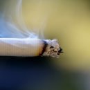 상주중앙초등학교 이미지