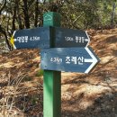 팔공산녹색길 숲길 1코스 이미지