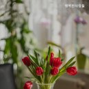 행복한사람들 | 안심할 수 있는 울주군 요양원 추천 행복한사람들 울주군 최고의 선택