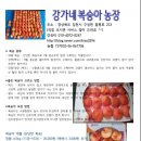 강가네농장 이미지