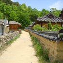 힘내라 한국인