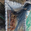 다섬당구장 이미지