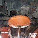 애니카랜드 장기점 이미지