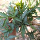 영성케미칼 이미지