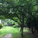 샤브향사천점 이미지