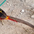 제성농장 이미지