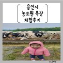 농도원유업 영농조합법인 | 용인 농도원 목장 체험 후기(비 온날 후기)