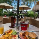 비스타(VISTA) | 칸쿤 셀하 Xel-ha 레스토랑 라 테라싸 La terraza , 슐라 비스타 Xula vista 후기