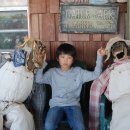 진혁농장 이미지