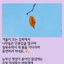 🌾거창의 건계정 거열산성 건흥산 아홉산(취우령),함양의 남계서원🍁2 이미지