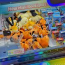 [9월 재능나눔] 뇌체조 | 20260206 호시노 겐 약속@인스파이어 아레나