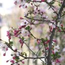 의창-북면-6-비-4 이미지