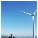 조은목장 이미지