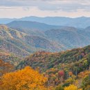 City Car Service 이미지