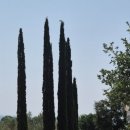 비아이태리 이미지