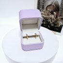 아스테리아 | 18k귀걸이추천 골든듀 아스테리아 옐골 귀걸이 언박싱 후기