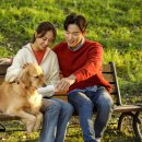 즐거운 강아지 이미지