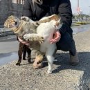 사이에존재