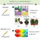 달성음악회 | 달성파크푸르지오힐스테이트 가든 음악회 후기