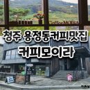 청주 용정동카페추천 커피모이라