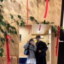 예쁜컨츄리 | 청주 대형카페 트리가 예쁜 ❝컨트리하우스❞ 내돈내산 후기