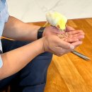 샤인덴탈 대구동부점 | 입도 맘도 풍성한 9월