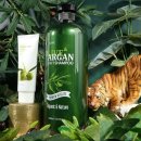 헤어  in 이미지